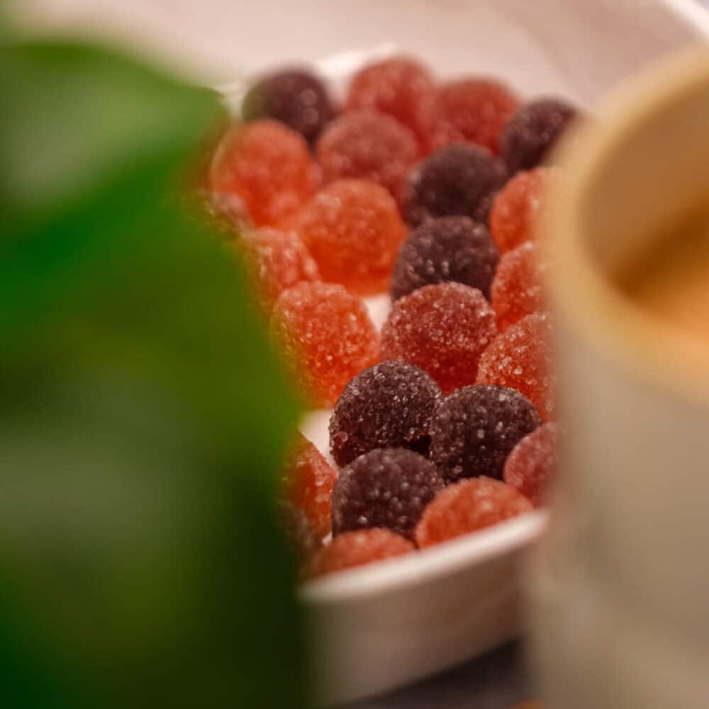 pates fruits billes fraise framboise myrtille posees assiette