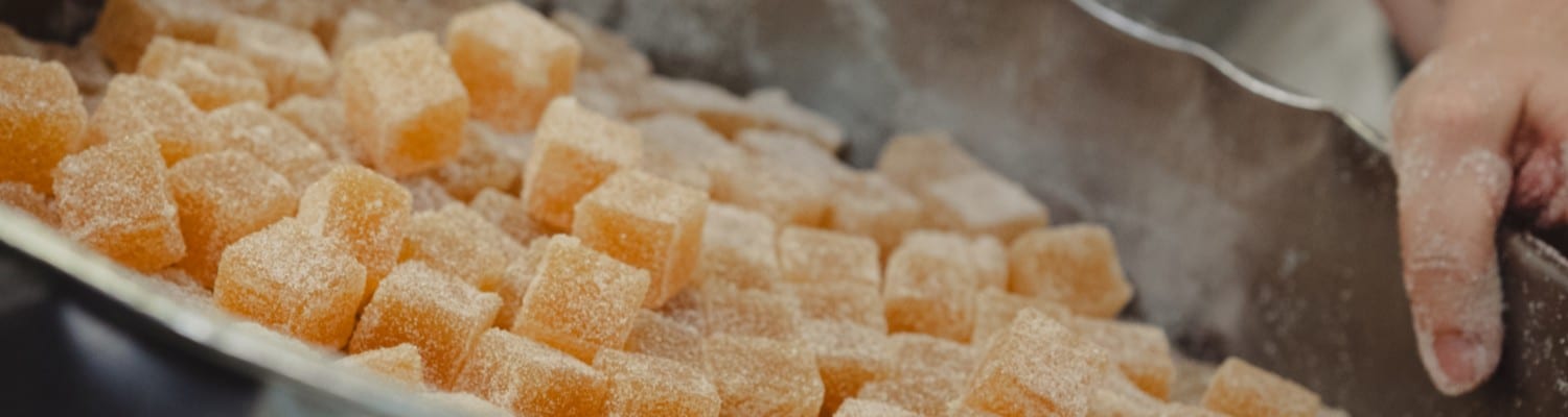 photographie des montagnes d'Auvergne